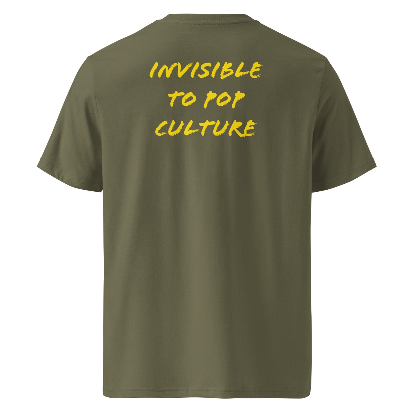 Invisible To Pop Culture